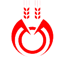 AYÇİÇEK YAĞI